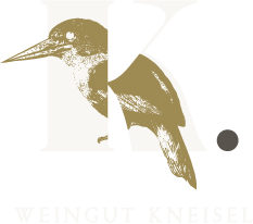 Adventskalender 58 logo weingutkneissl