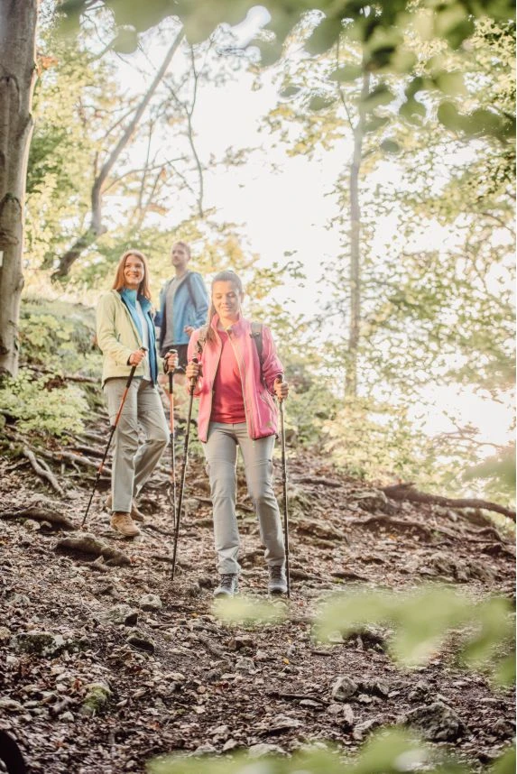 Wandergruppe im Wald