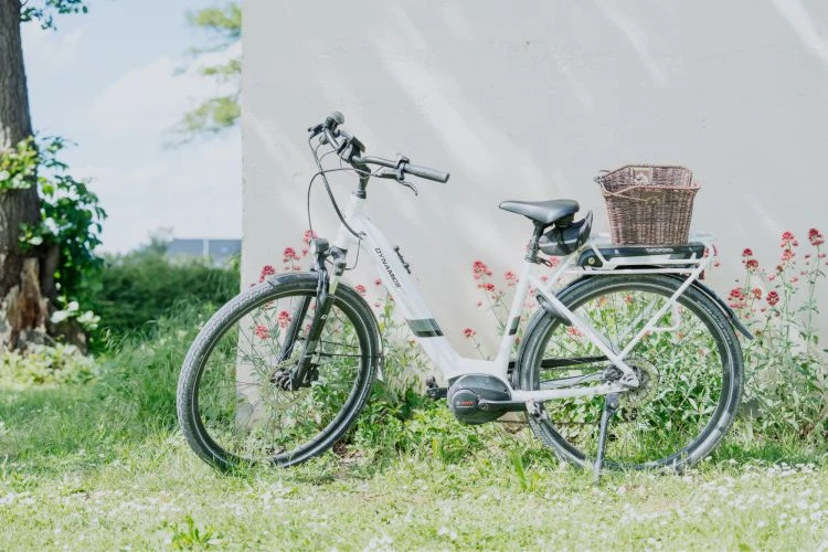 Bett + Bike 3 E-Bike vor Hauswand mit bunten Blumen