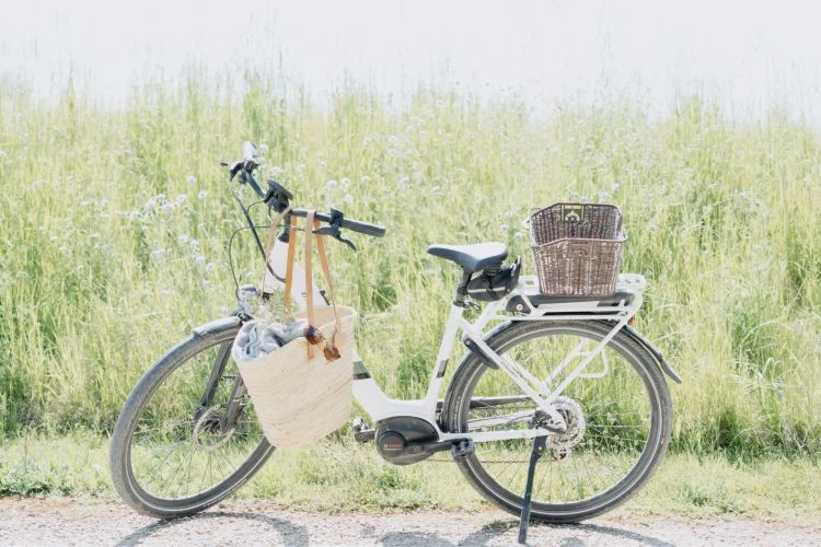 Bett + Bike 3 E-Bike mit Korb vor Wiesenblumen