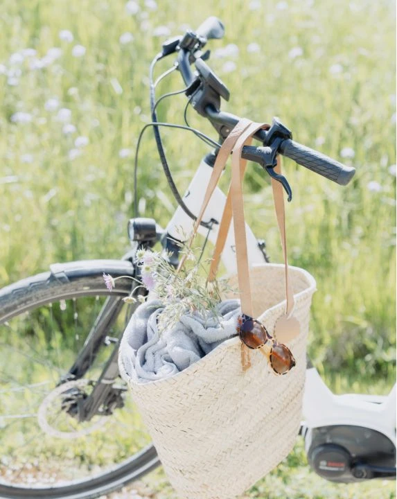 Frau 5.0 11 Korb an Fahrradlenker mit Wiesenblumen
