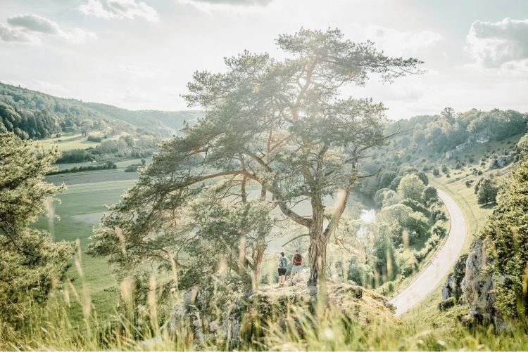 Wanderer an Aussichtspunkt im Altmühltal