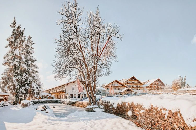 Impressionen 41 Eingeschneiter Eisvogel von Außen mit Hotel und Restaurant