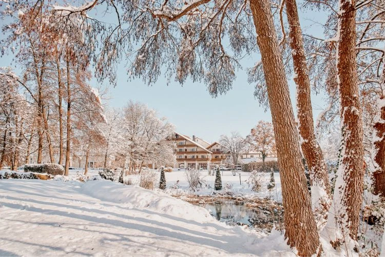 Impressionen 43 Blick auf verschneites Hotel und den Hotelgarten