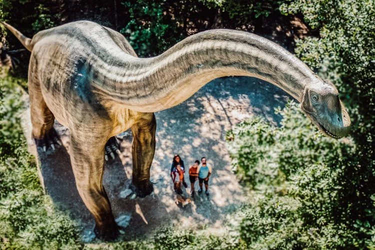 10 Sommer Aktivitäten im Altmühltal 9 Dinosaurier Museum Altmühltal
