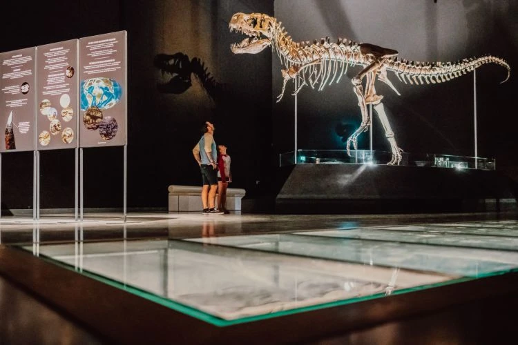 10 Sommer Aktivitäten im Altmühltal 10 Dinosaurier Museum Altmühltal
