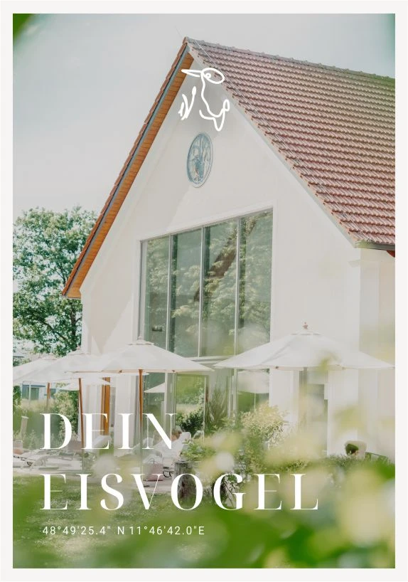 eisvogel 2025