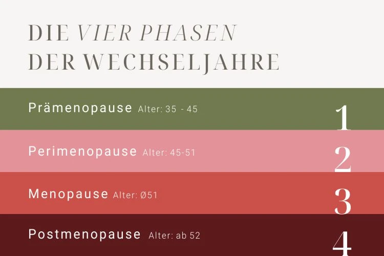 Was ist die Menopause? 1 vier phasen wechseljahre