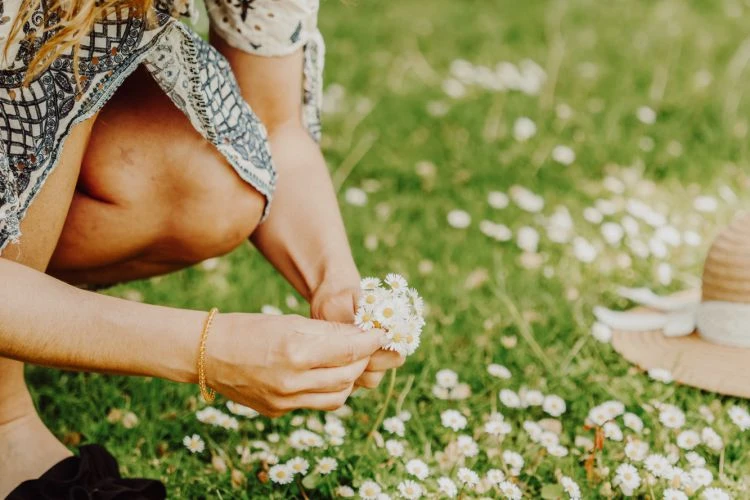 Frau pflückt Gänseblümchen