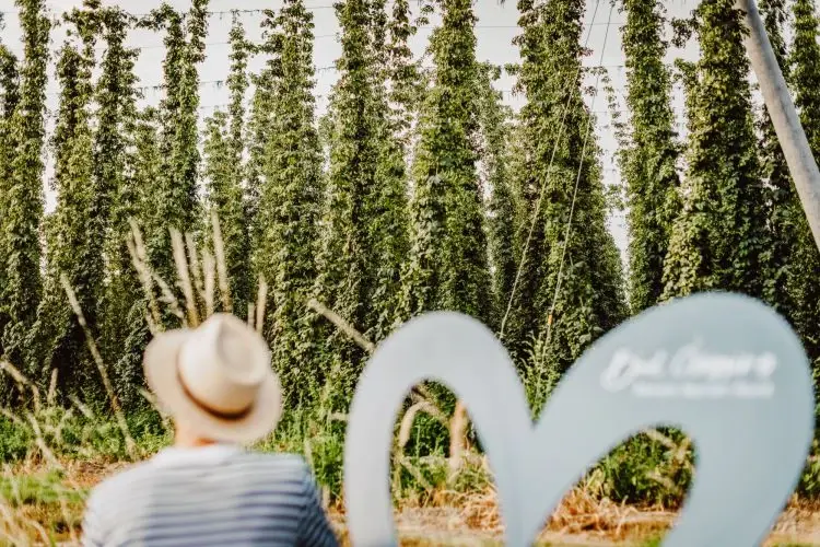 bad goegging lieblingsplatze 04