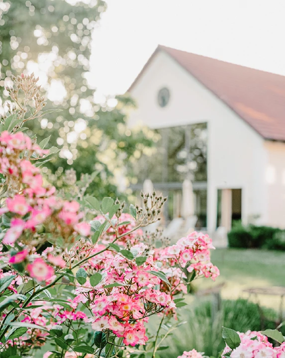 badhaus eisvogel sommerurlaub bayern 8