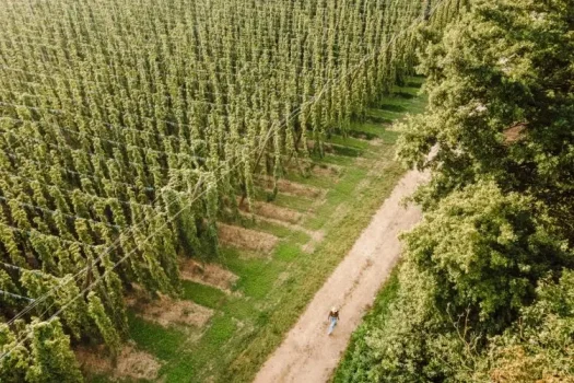 Eisvogel Urlaubsjahr 37 bad-goegging-lieblingsplatze-01