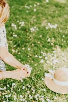 Frau pflückt Gänseblümchen im Garten