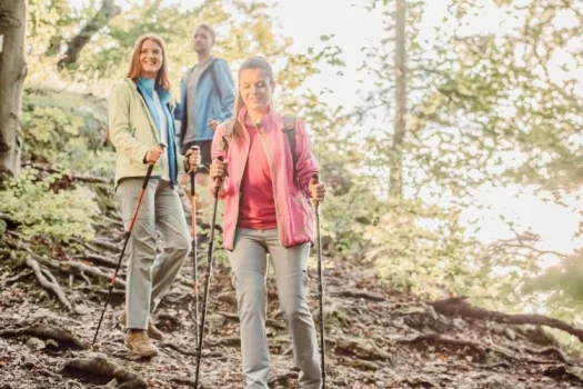 Wandergruppe im Wald