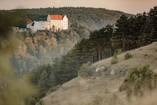 Blick auf Schloss Rosenburg