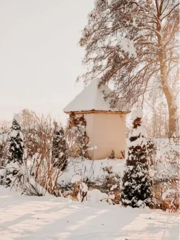 verschneiter Eisvogel Karten