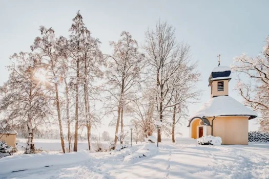 Black Friday Deals 19 Eingeschneite Eisvogel Kapelle