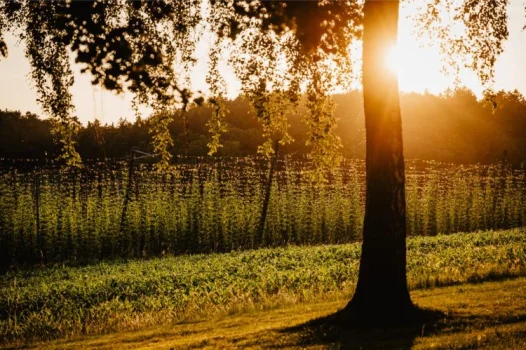 wellnesshotel-hallertau-05